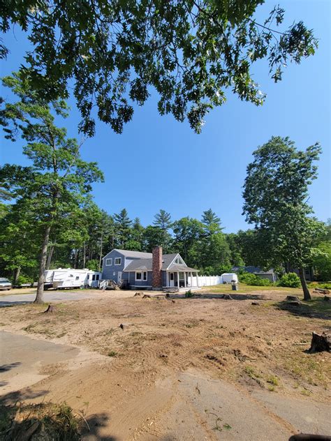 Image result for Robinson Family Tree