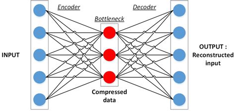 Image result for Autoencoder Neural Network