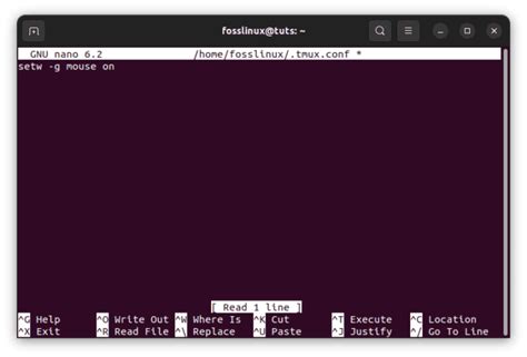 Image result for Linux Mouse for Terminal