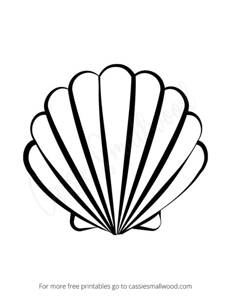 Image result for Sea Shell Pattern Template