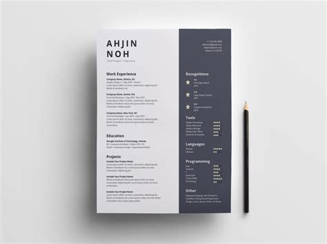 Image result for InDesign CV Template