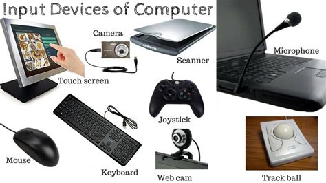 Image result for Computer Input Device and Output Device