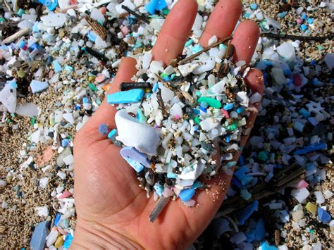 Image result for Microplastic Garbage