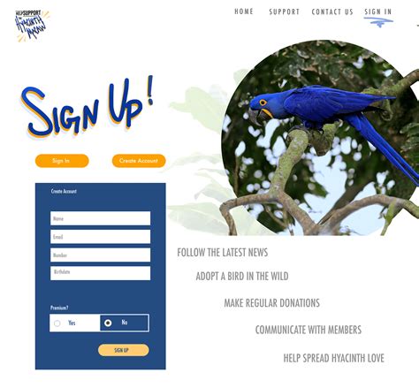 Image result for Macaw Web Design Software