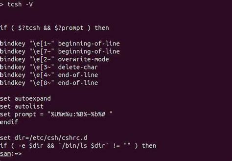 Image result for Tcsh Shell
