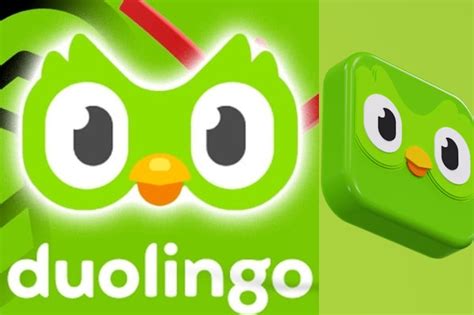 Duolingo CSS Code に対する画像結果