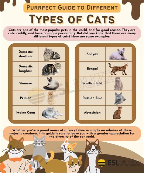 Different Types of Cats に対する画像結果