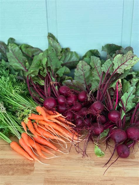 Afbeeldingsresultaten voor Center for Living and Learning Logo