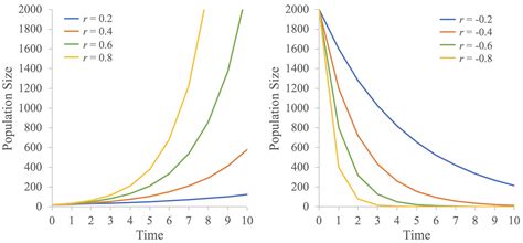 Exponential Growth Graph に対する画像結果