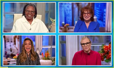 Image result for The View 2020 Election