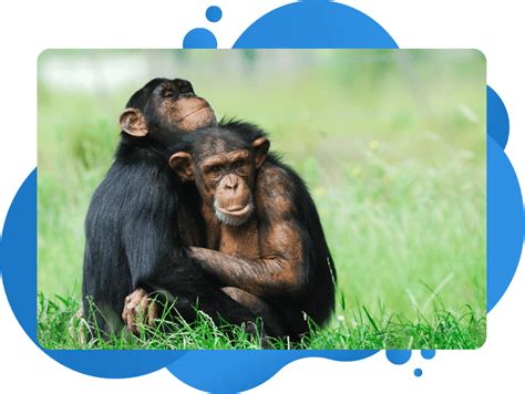 Agri Coding Practice に対する画像結果