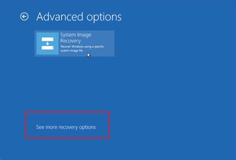 Image result for Recovery Options Windows 1.0