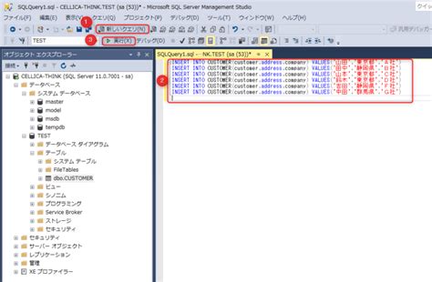 Insert SQL Exemple に対する画像結果
