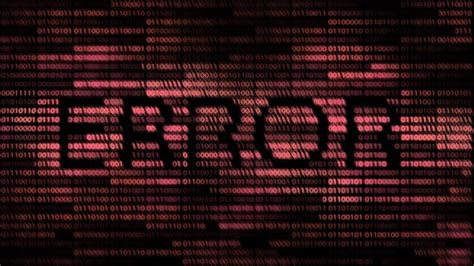 Types Injection Atack に対する画像結果