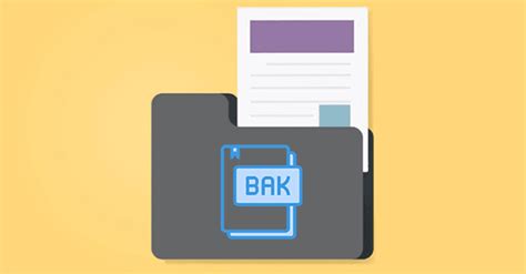 Image result for How to Open Bak File
