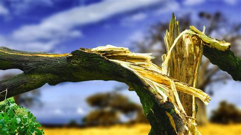 Image result for Falling Sound Effect