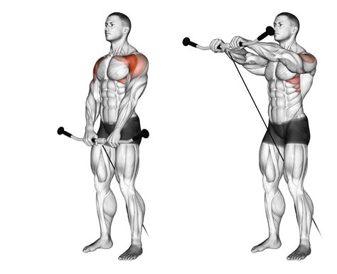 Image result for Shoulder Exercises On Cable Machine