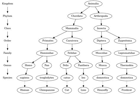 Classification Tree に対する画像結果