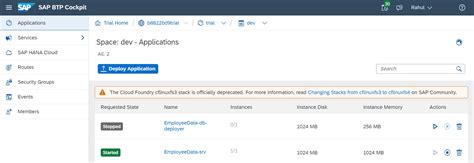 SAP Rapm and CAPM に対する画像結果