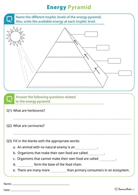 Image result for Pyramid Worksheet Answer Key