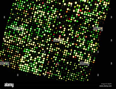 Afbeeldingsresultaten voor Microarray De ADN