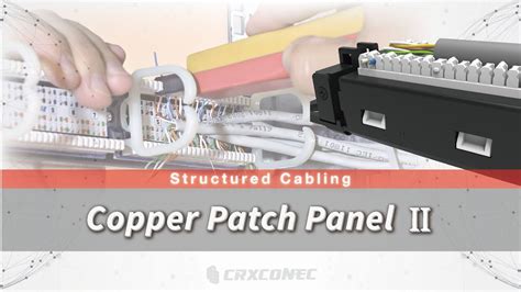 Image result for Patch Panel Rear