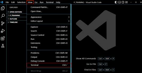 Image result for How to Run Python in External Shell