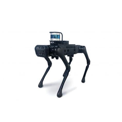 UniTree Go1 2D Lidar に対する画像結果