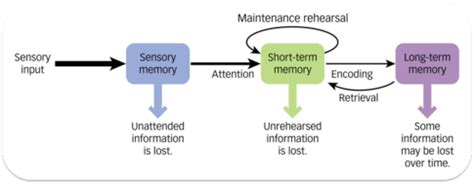 Example of Memory in Huma に対する画像結果