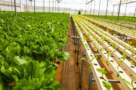 Afbeeldingsresultaten voor Enclosed Hydroponic Growing System