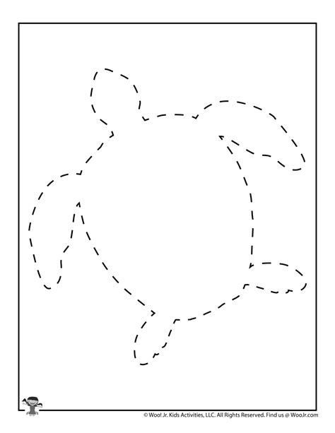 Turtle Flipper Outlines に対する画像結果