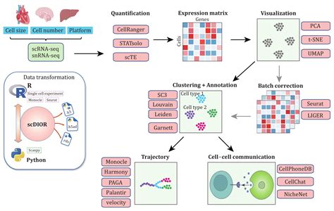 Image result for RNA-seq Data