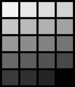 Image result for Grey Fraction