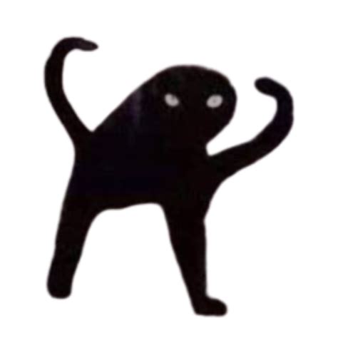 Image result for Cursed Cat Walking