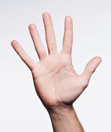 Five Sign Language に対する画像結果