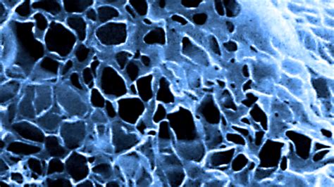 Compost And Humic Substances | BioCycle