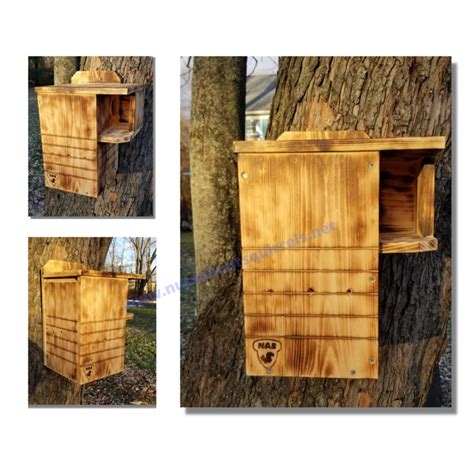 Fox Squirrel Nest Box に対する画像結果