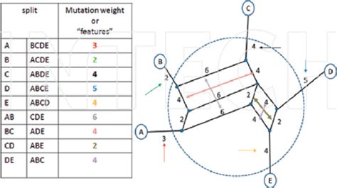 Image result for Split Graph