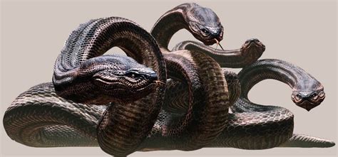 Afbeeldingsresultaten voor Python Demon