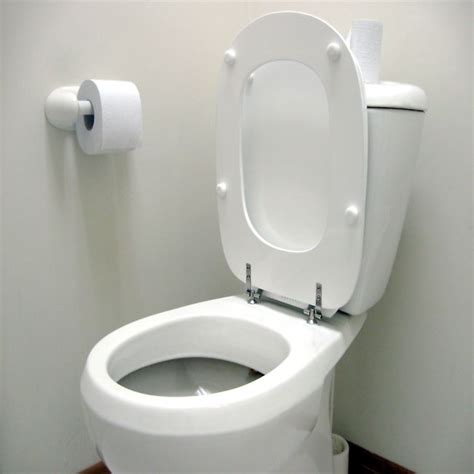 Image result for Toilet Kind