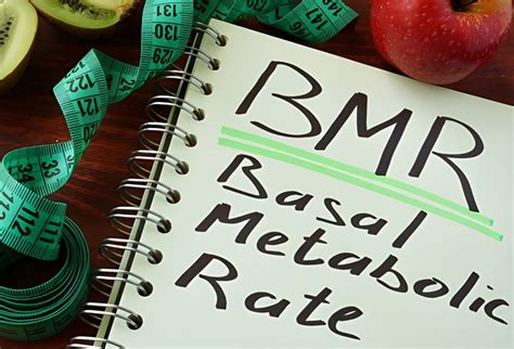 Image result for Computing Basal Metabolic Rate