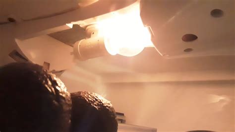 Normal Light Bulb に対する画像結果