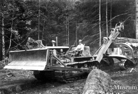 Image result for Cat Logging