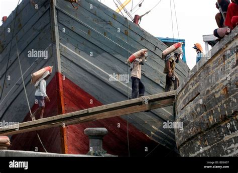 Image result for Java Indomn