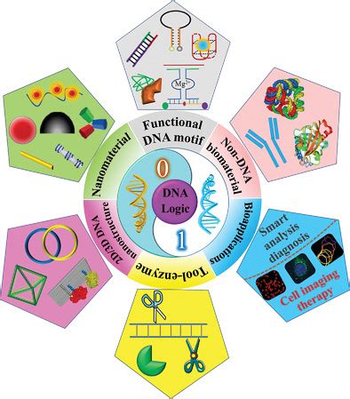 Image result for Advanced Science G Stylios