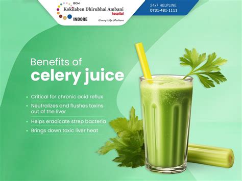 Celery Juice に対する画像結果