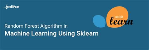 Random Forest Python に対する画像結果