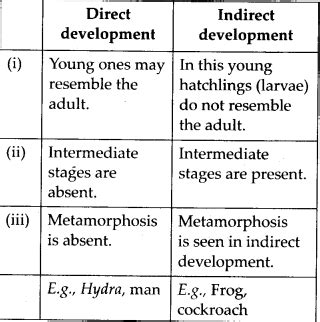 Image result for Difference Between Direct and Indirect Development