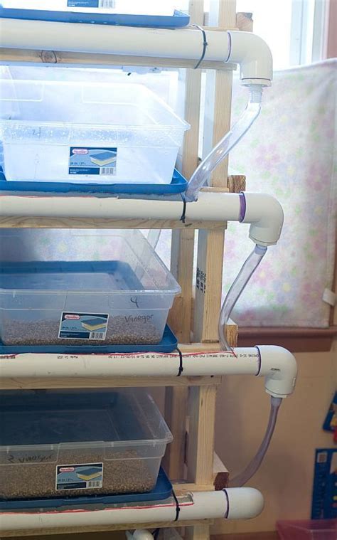 Image result for DIY Hydroponic Fodder Growing Systems