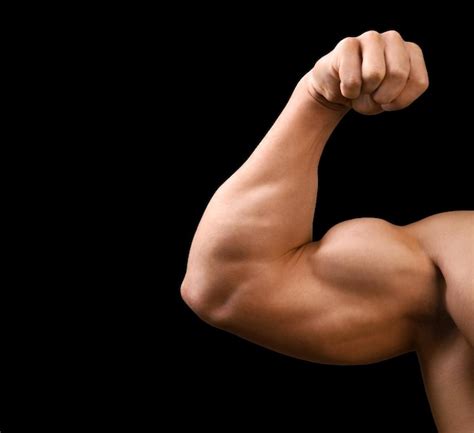 Type Body Builder కోసం చిత్ర ఫలితం